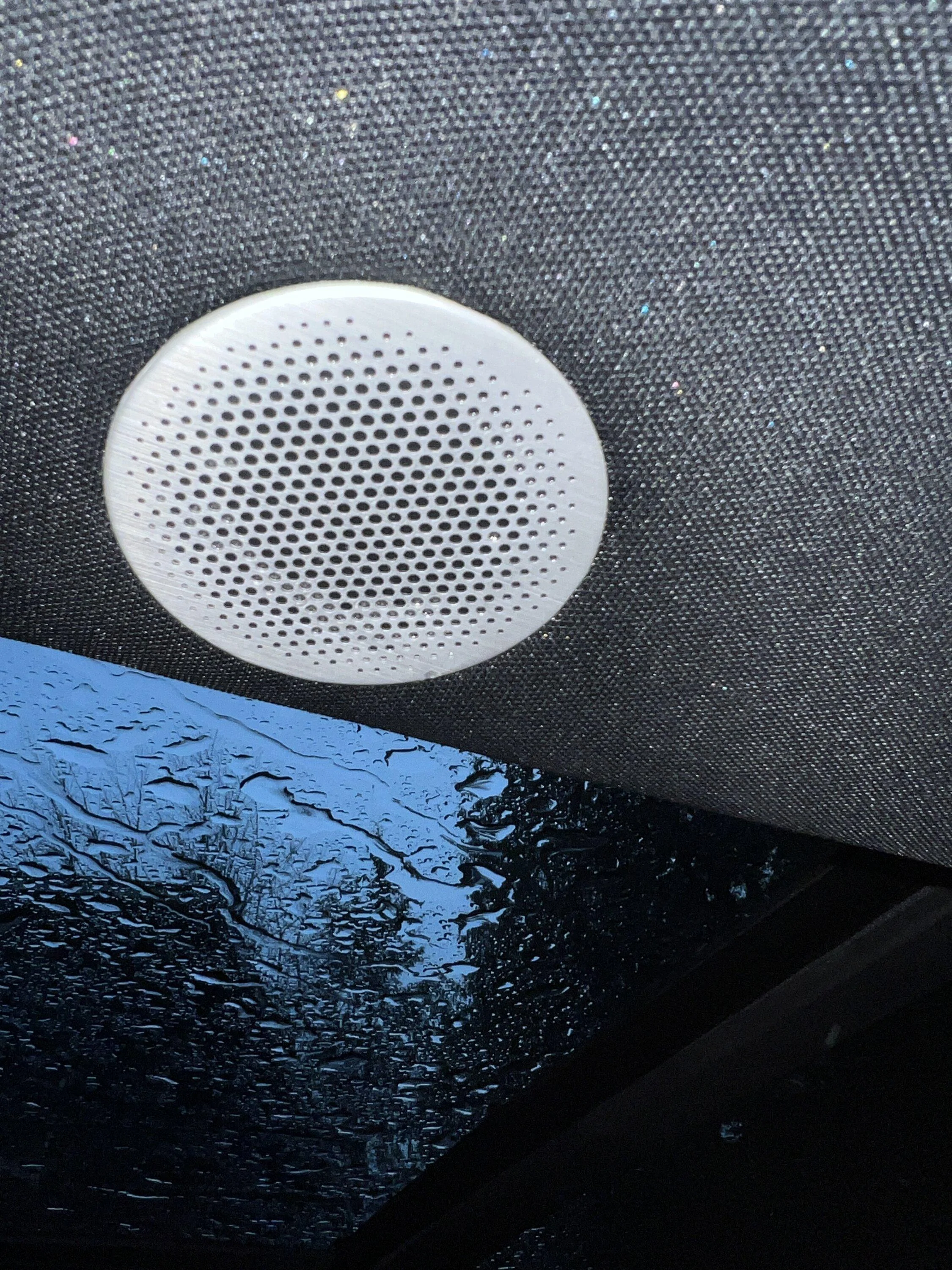 Ford F-150 Water leak coming in from the speaker in the headliner with b&o IMG_5075