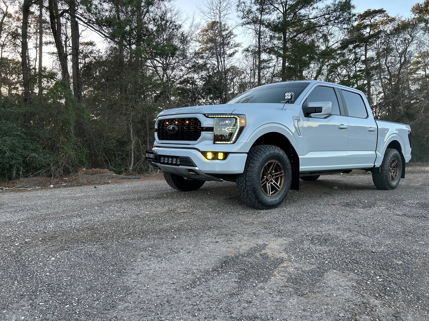Ford F-150 Post Your Tint Setup! IMG_5099