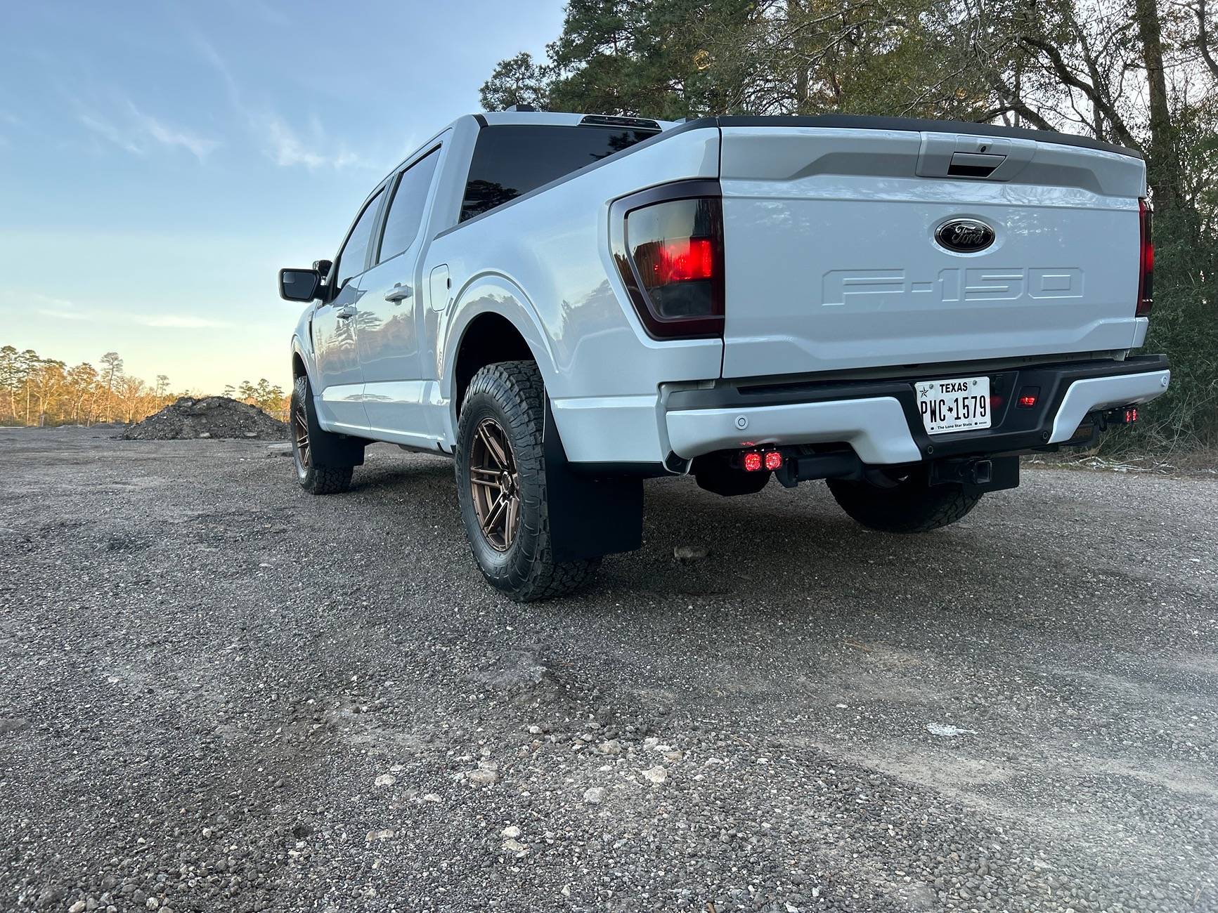 Ford F-150 F150 LEDs License Plate lights IMG_5101