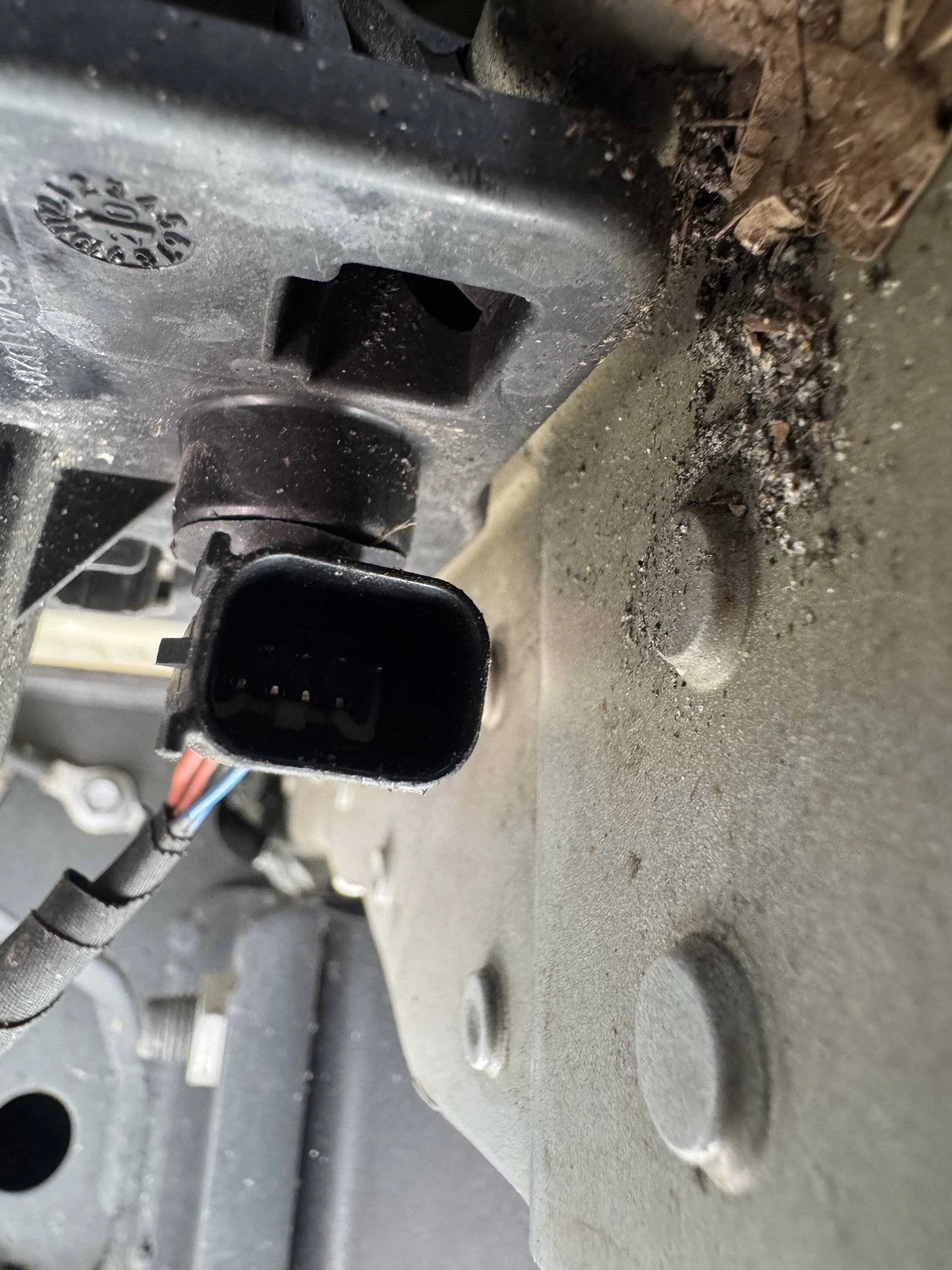 Ford F-150 21 Bed Cargo Light Install IMG_5135