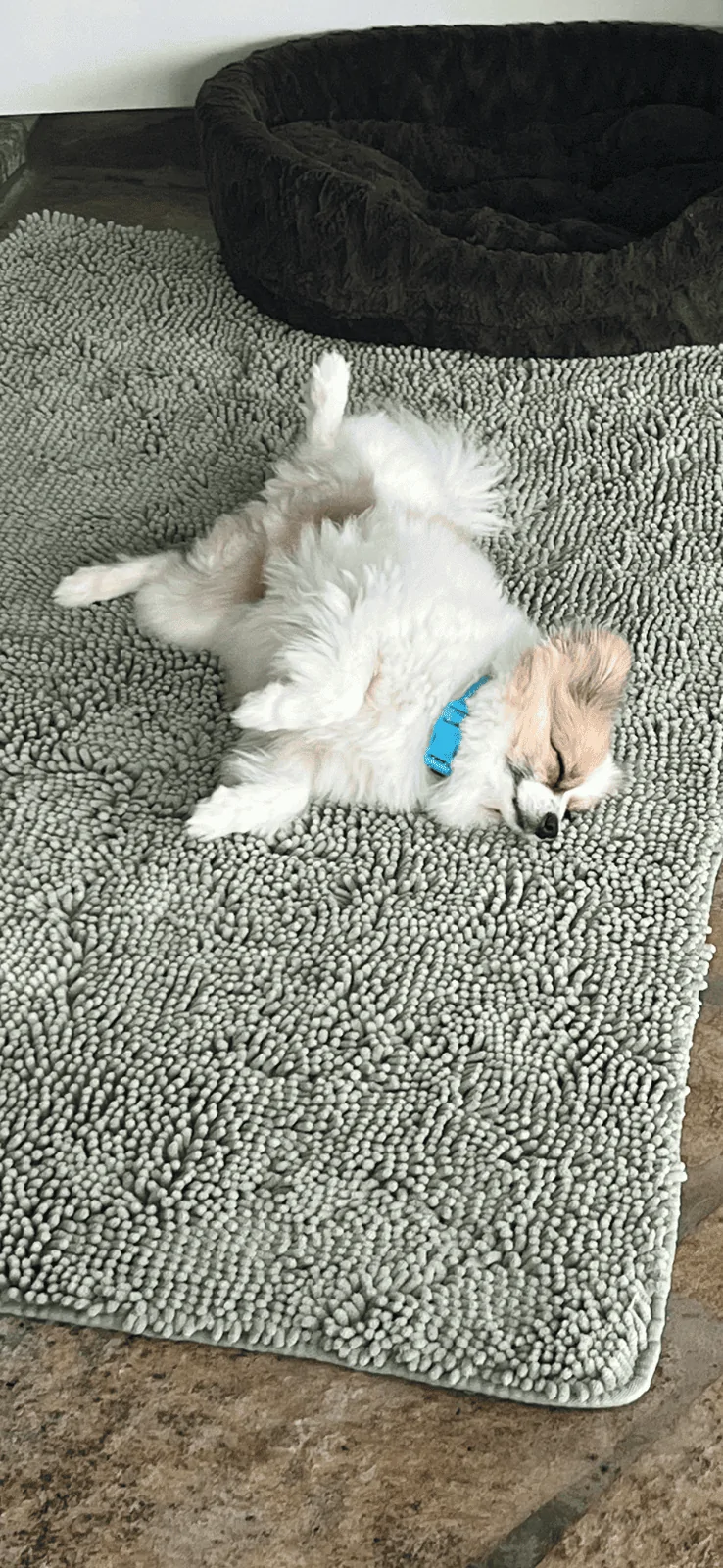 Ford F-150 Cant upload pic now IMG_5381