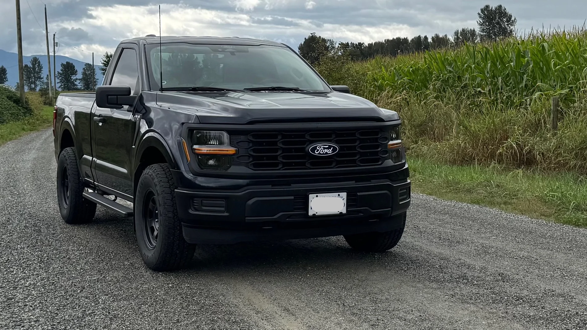 Ford F-150 Antimatter Blue or Carbonized Gray? IMG_5477