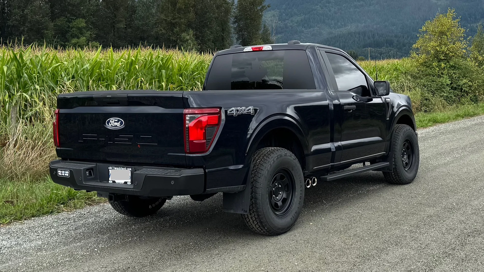 Ford F-150 Antimatter Blue or Carbonized Gray? IMG_5479