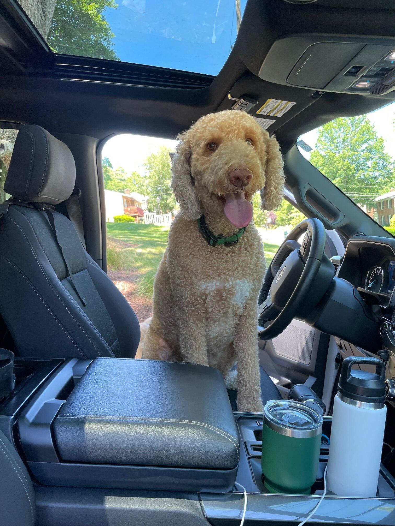 Ford F-150 21 PB with leveling kit.. Considering removing IMG_5703