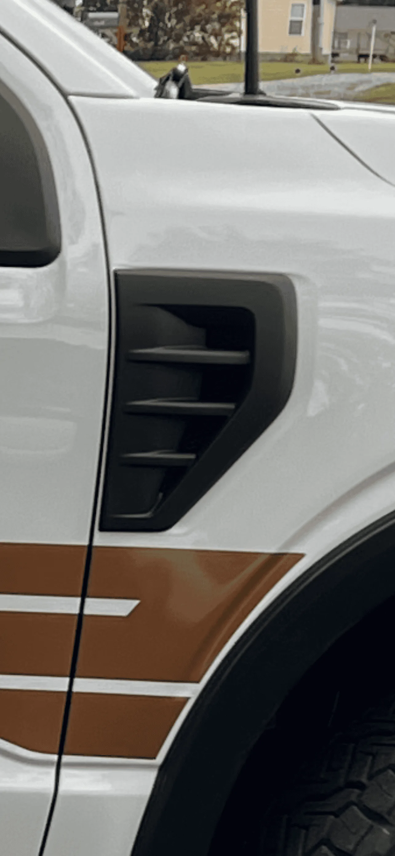 Ford F-150 Black out chrome F150 fender emblems? IMG_5774