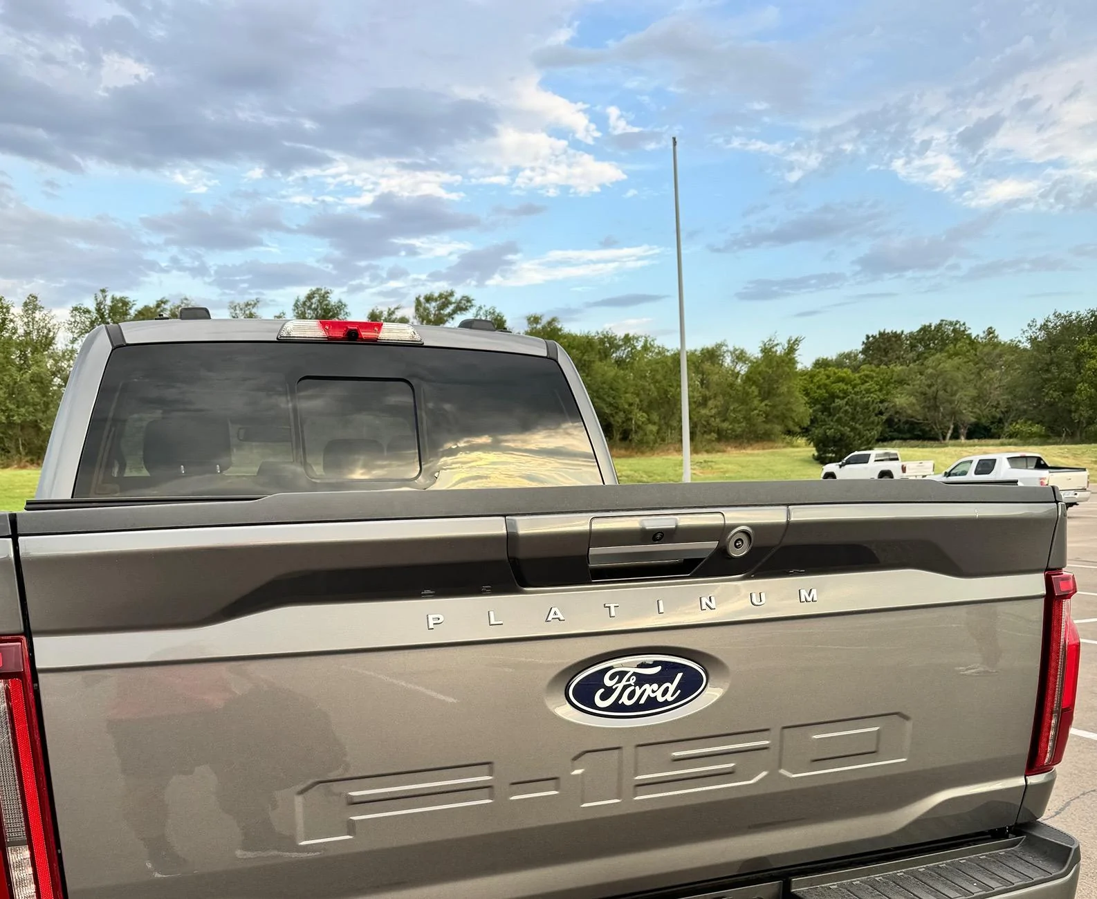 Ford F-150 2024 Platinum / tailgate lettering IMG_5787