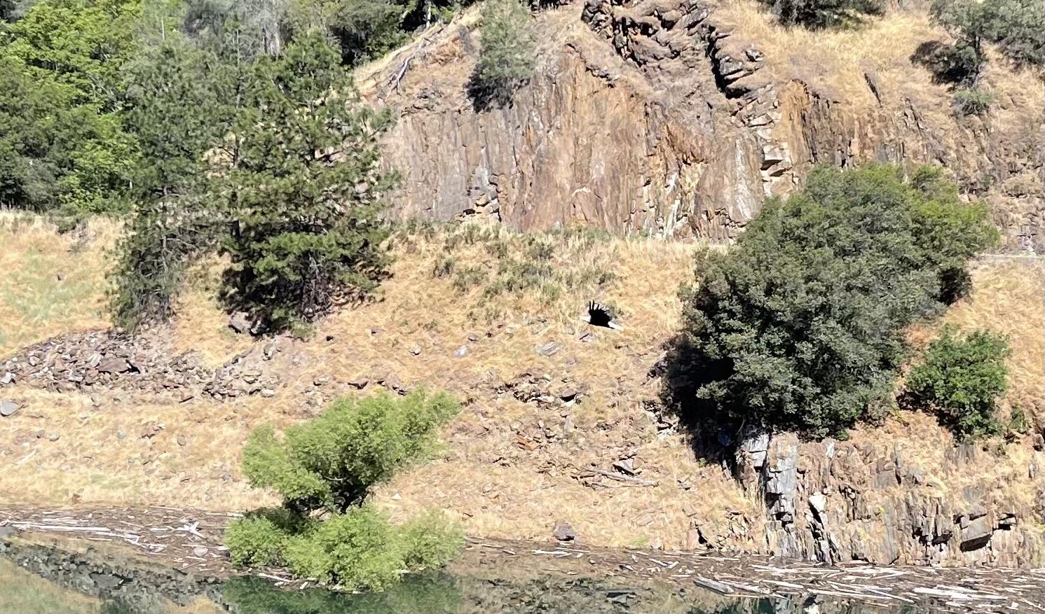 Ford F-150 Day trip out to Stanislaus National Forest, CA in 2022 F-150 PowerBoost IMG_6461