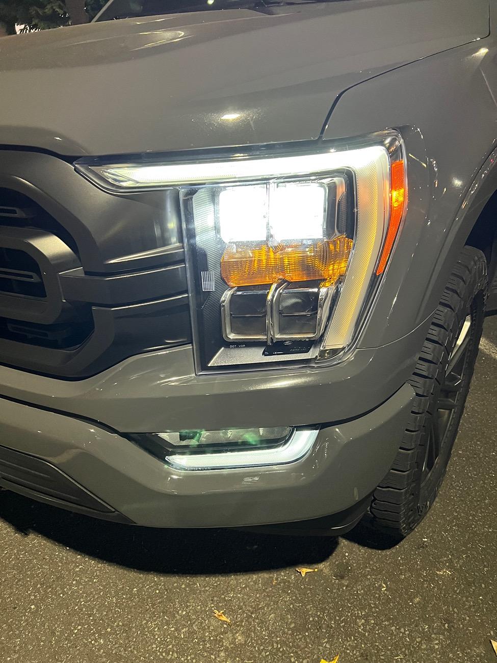Ford F-150 DRL burnt out IMG_6714