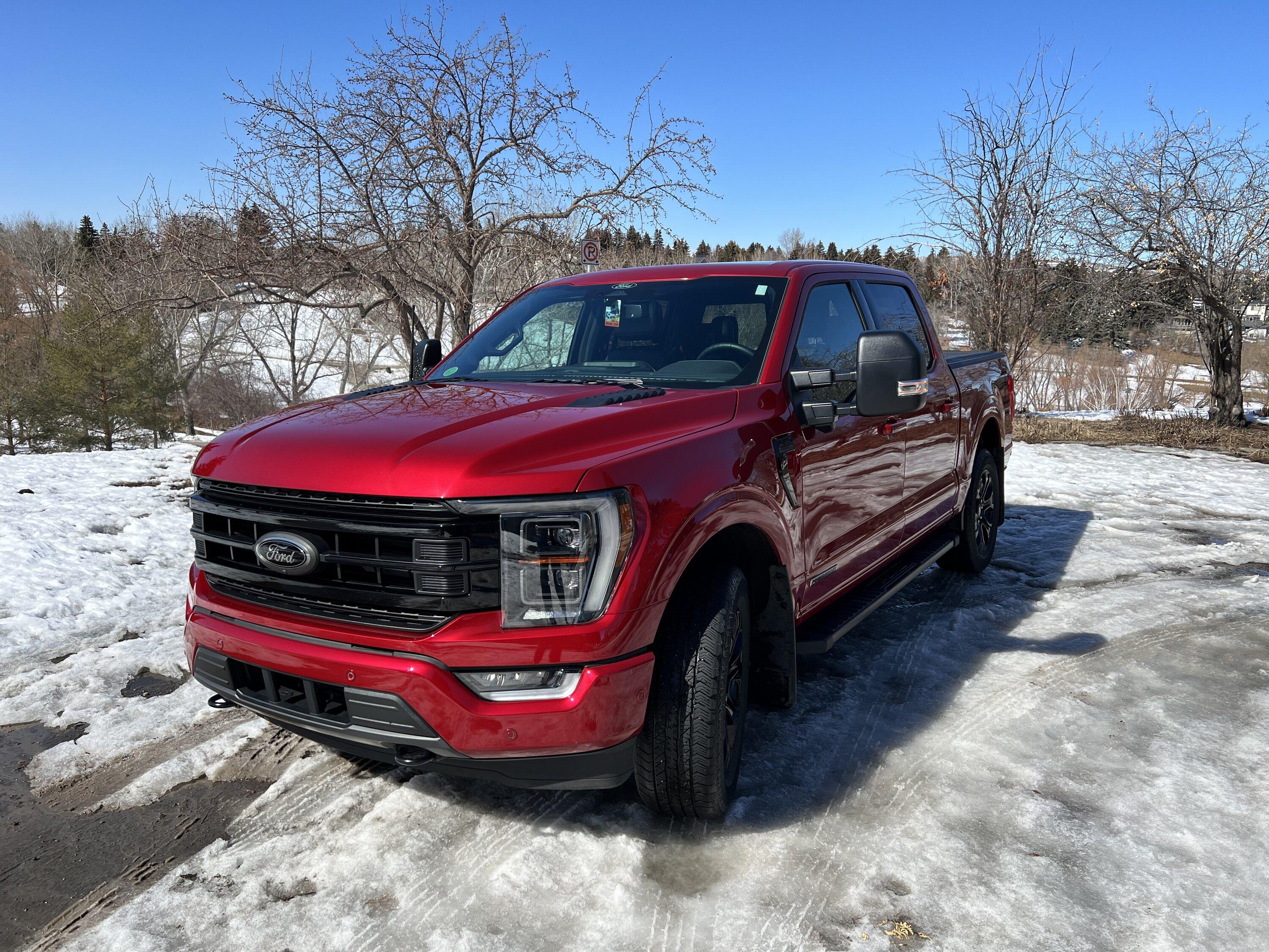 Ford F-150 BAP Black Appearance Package Trucks, POST HERE IMG_6716