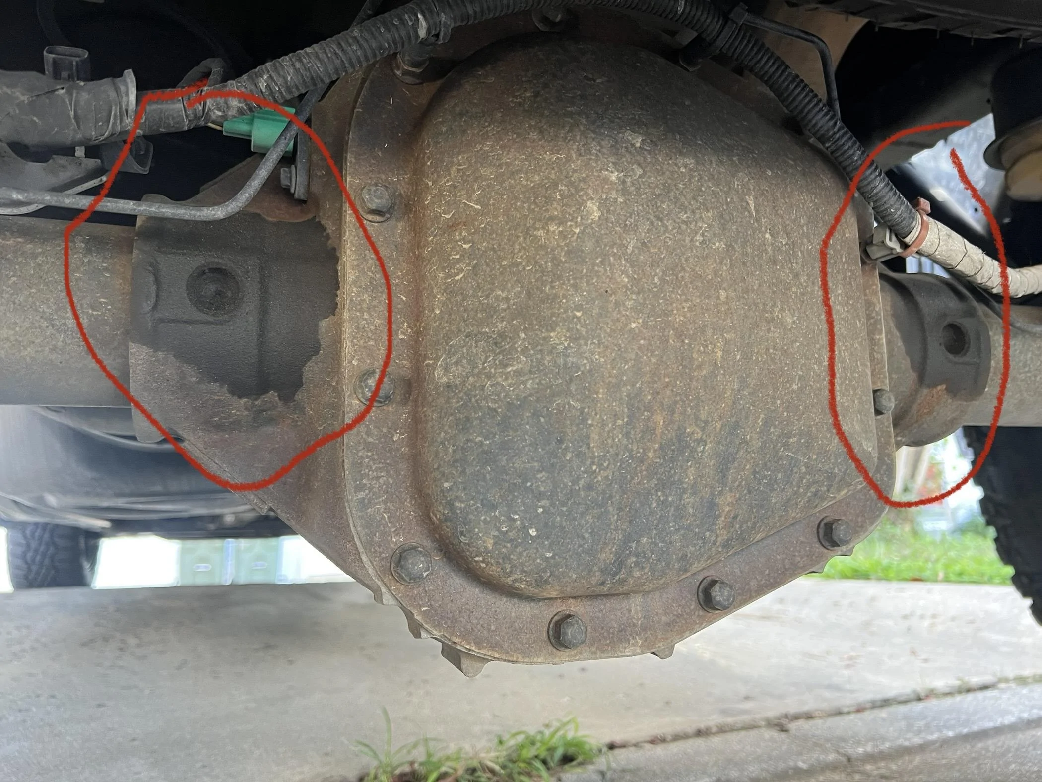 Ford F-150 Leak? Normal? Real Differential IMG_6932