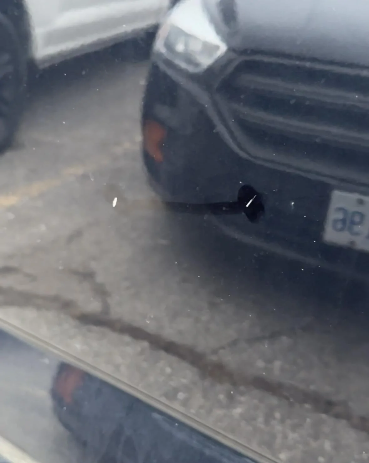 Ford F-150 PAINT CHIPS. IMG_7159