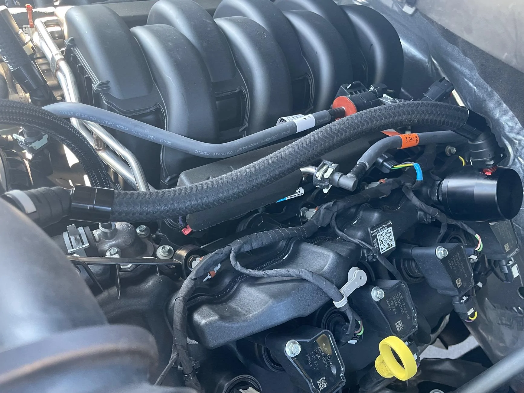 Ford F-150 Oil Separator for 5.0? IMG_7405