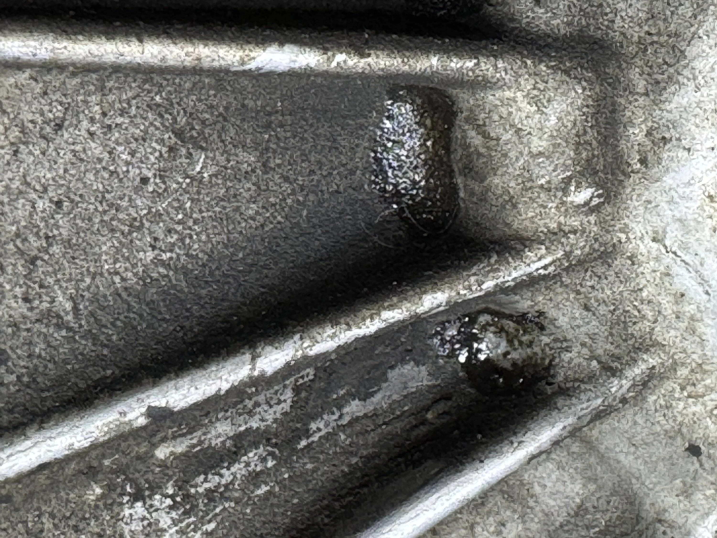 Ford F-150 Transfer case fluid seepage? IMG_7472