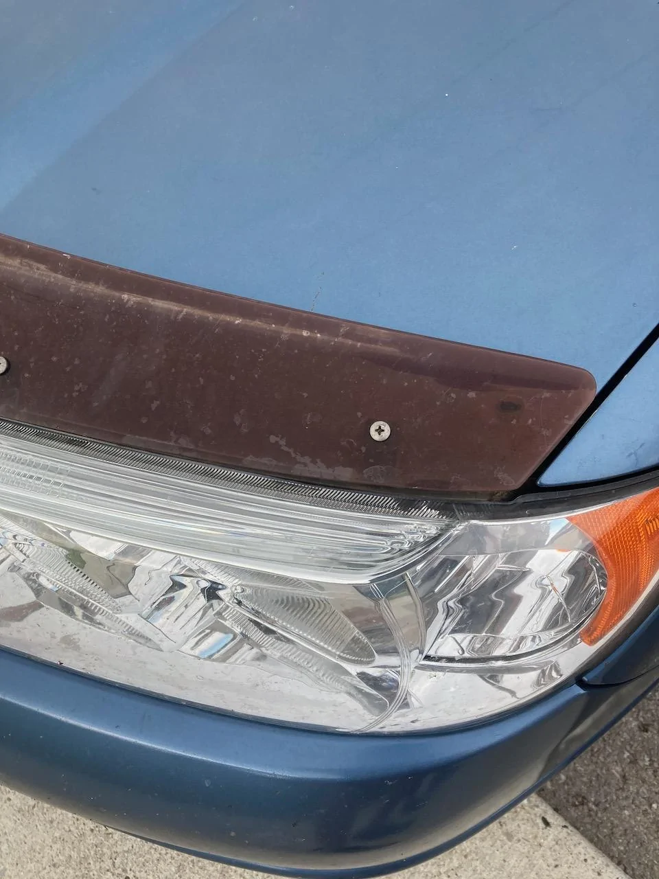 Ford F-150 Hood rock/bug guard on lighter colors? IMG_7509