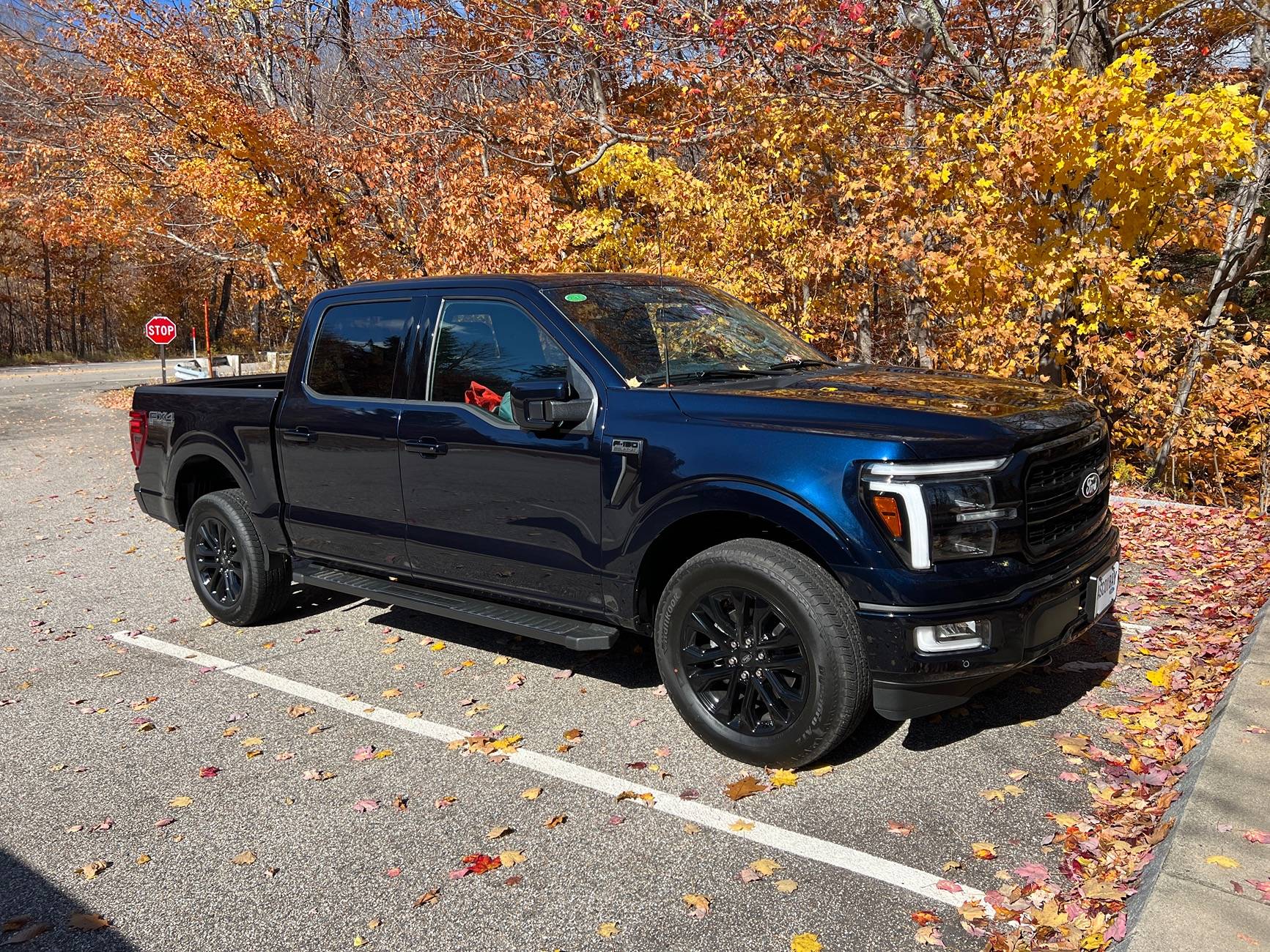 Ford F-150 Tacoma to F150 IMG_7883