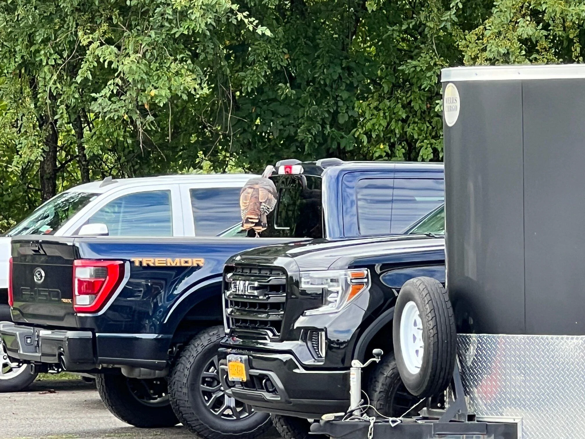 Ford F-150 Random F-150 Photos of the Day - Post Yours! 📸 🤳 IMG_7905