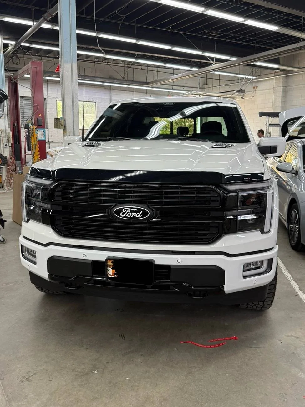 Ford F-150 Tremor Bug & Rock Deflector - Is There One? IMG_8051