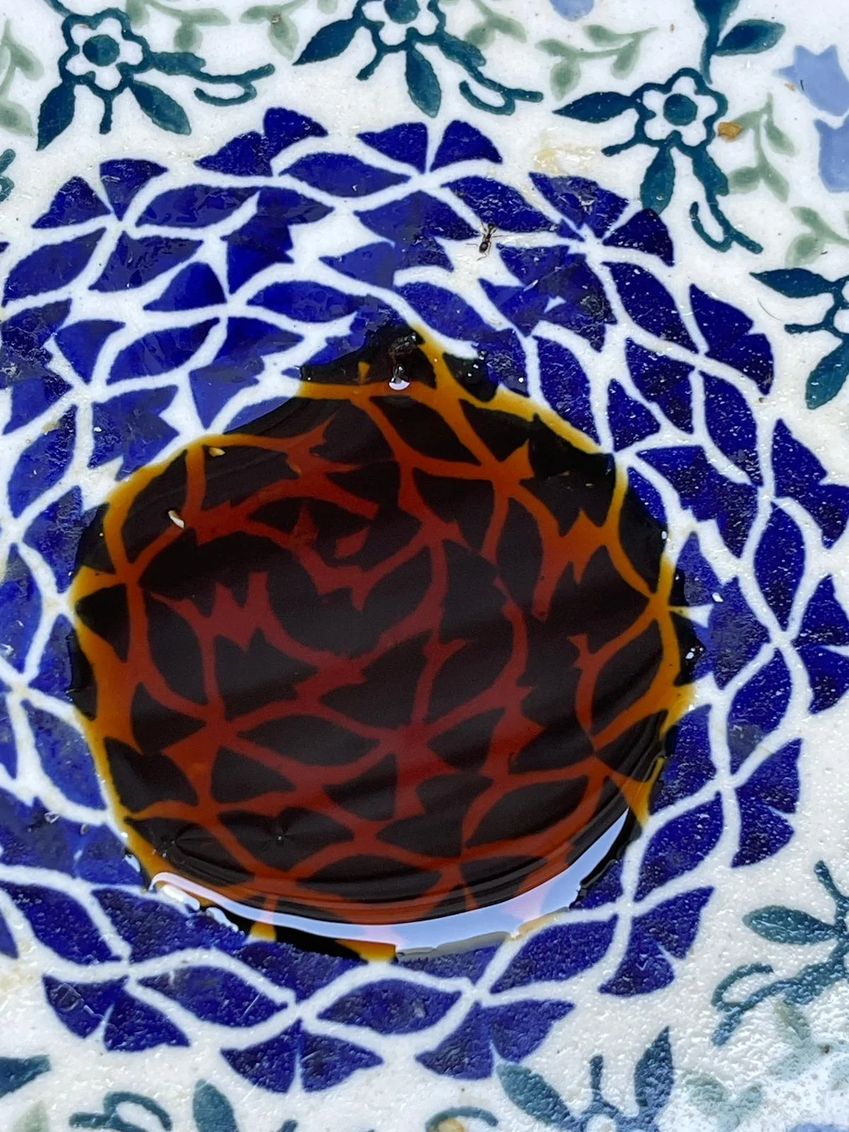 Ford F-150 J&L oil separator after 3 weeks! IMG_8112