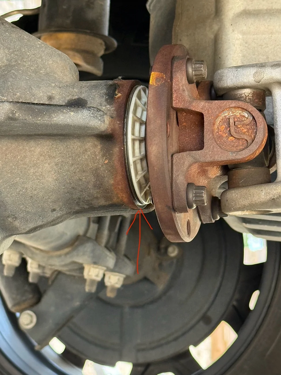 Ford F-150 Recurrent pinion seal leak IMG_8120