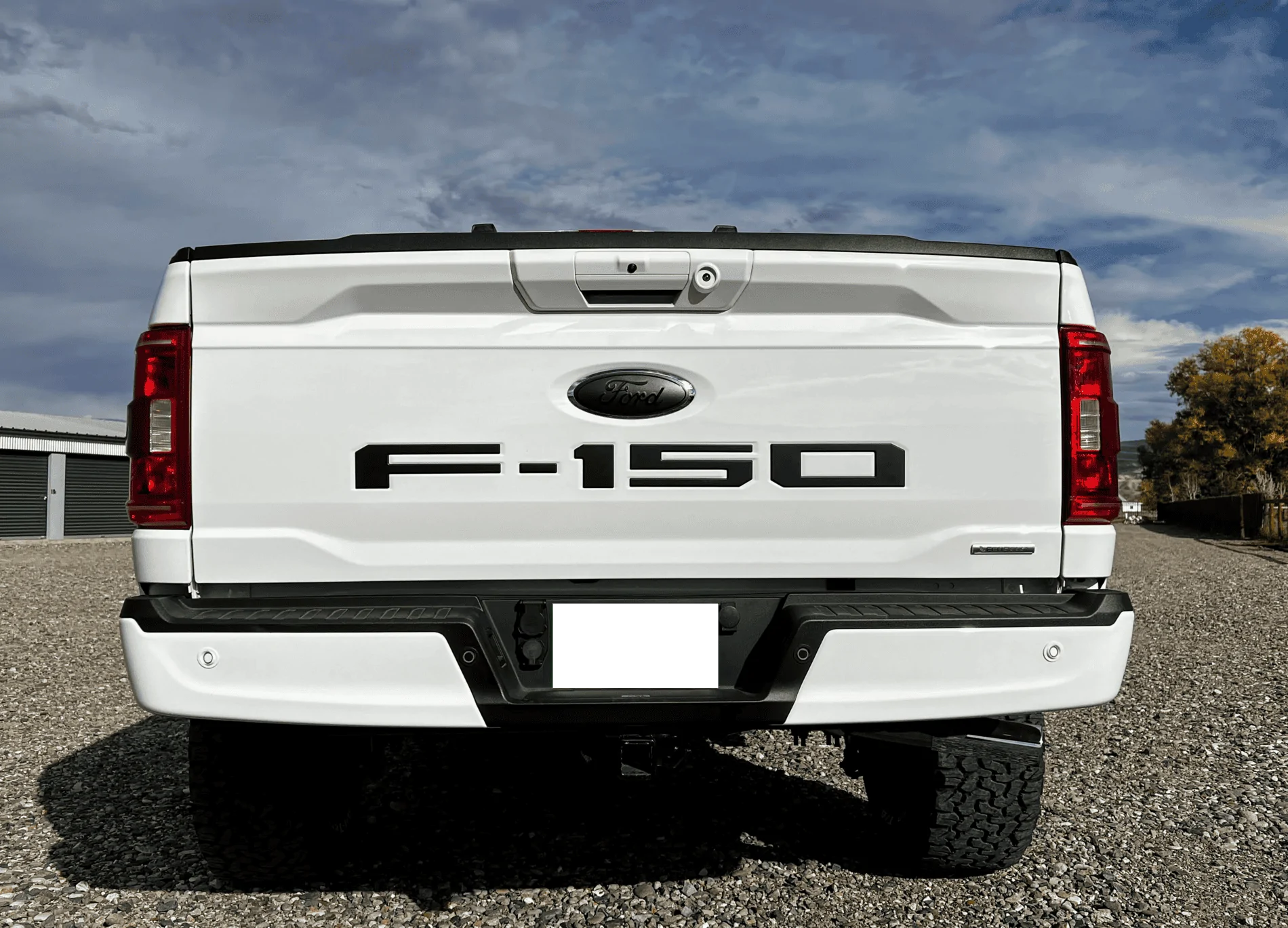 Ford F-150 4" BDS Lift on 35's and other Misc. things so far. IMG_8171