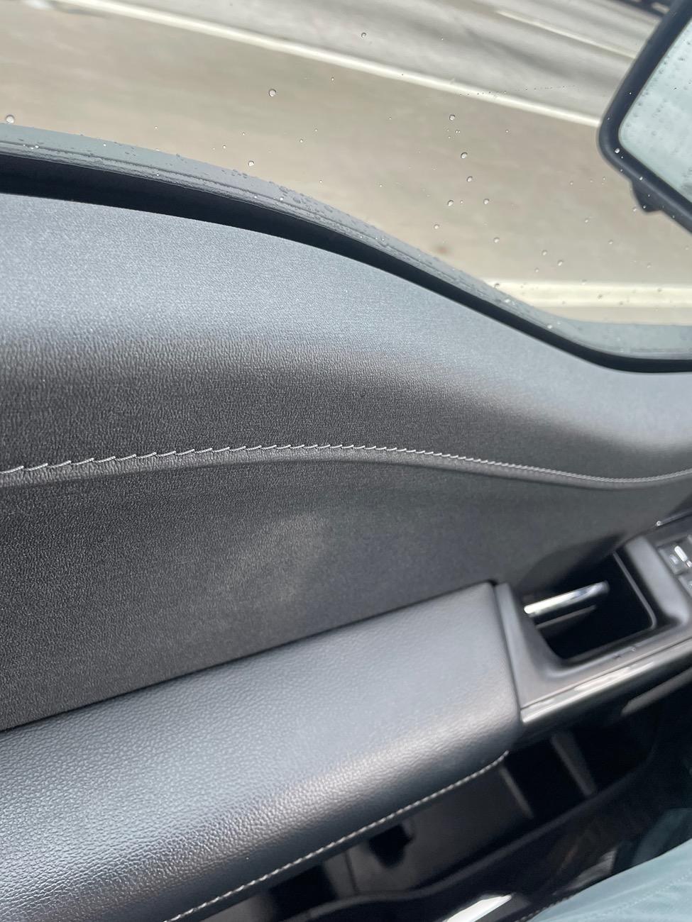 Ford F-150 White Splotch on door sill, any ideas? IMG_8395