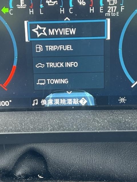 Ford F-150 Instrument Panel Restart While Driving IMG_8410 copy Medium