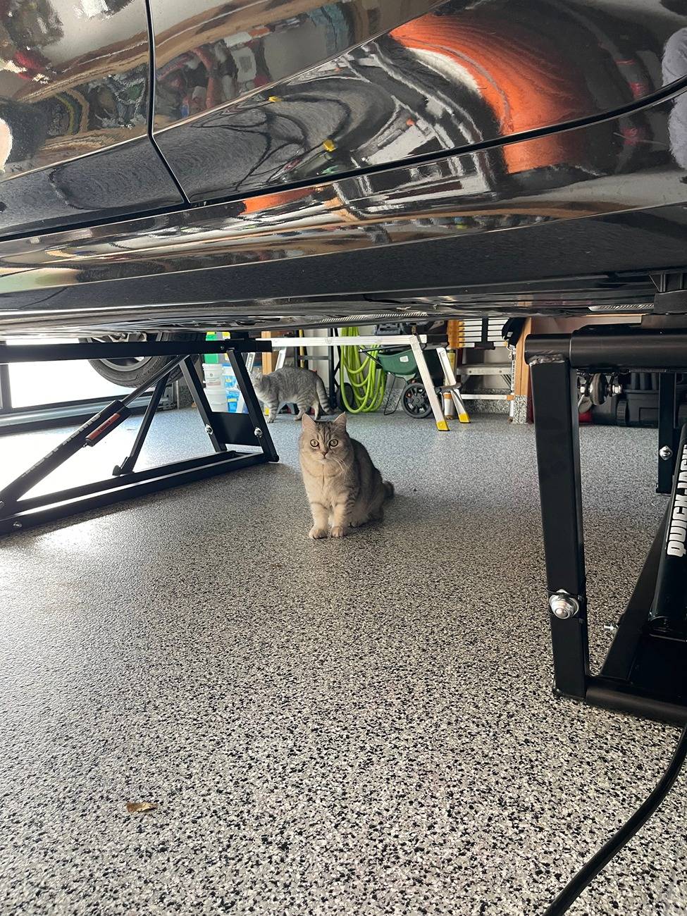 Ford F-150 QuickJack 7000TLX setup, rolling and hanging! IMG_8975