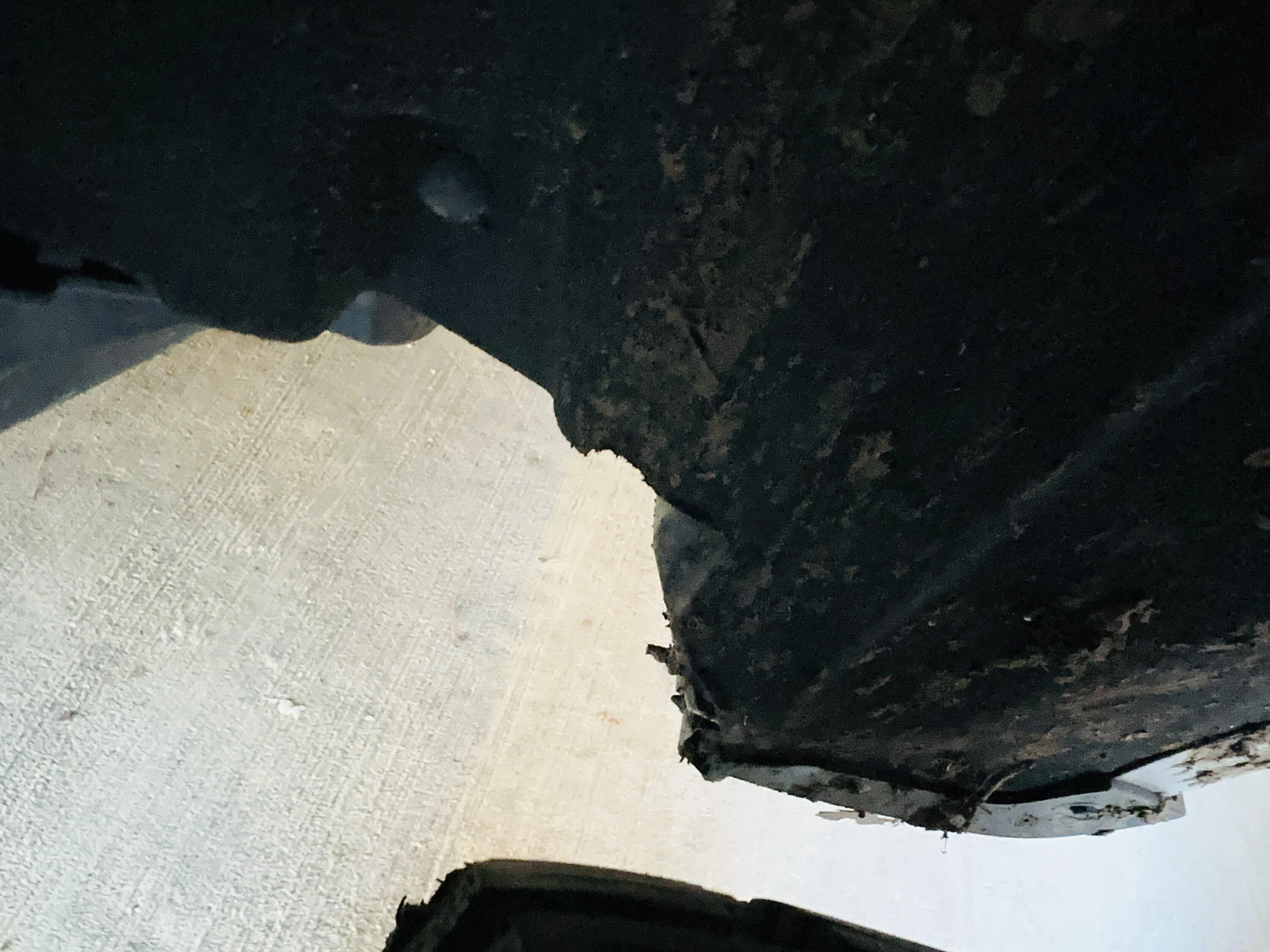 Ford F-150 Show me your leveled trucks! IMG_9220