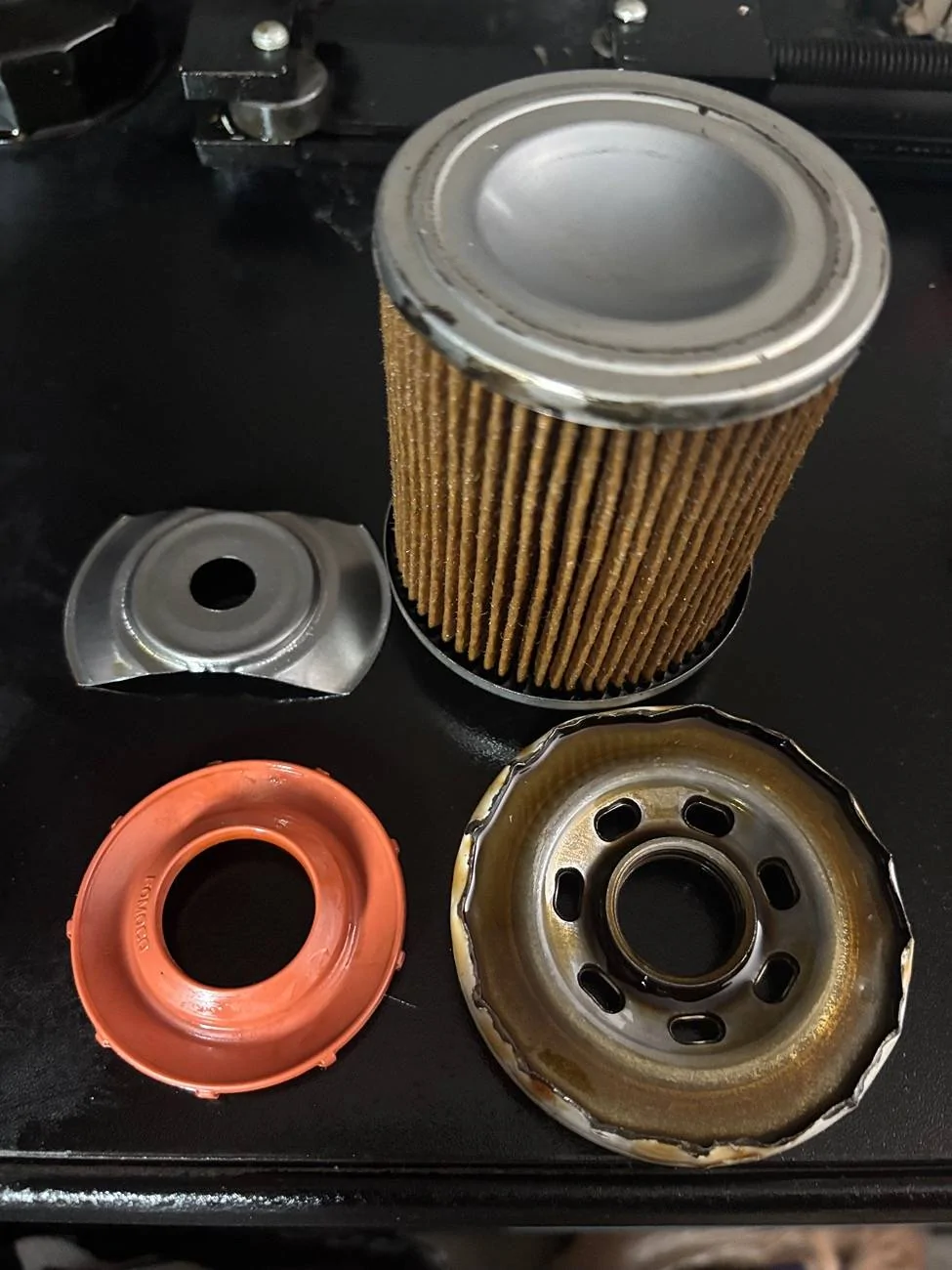 Ford F-150 Motorcraft Oil Filters IMG_9241