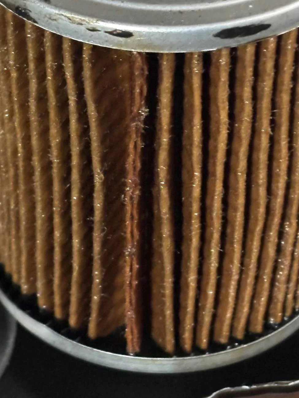 Ford F-150 Motorcraft Oil Filters IMG_9242