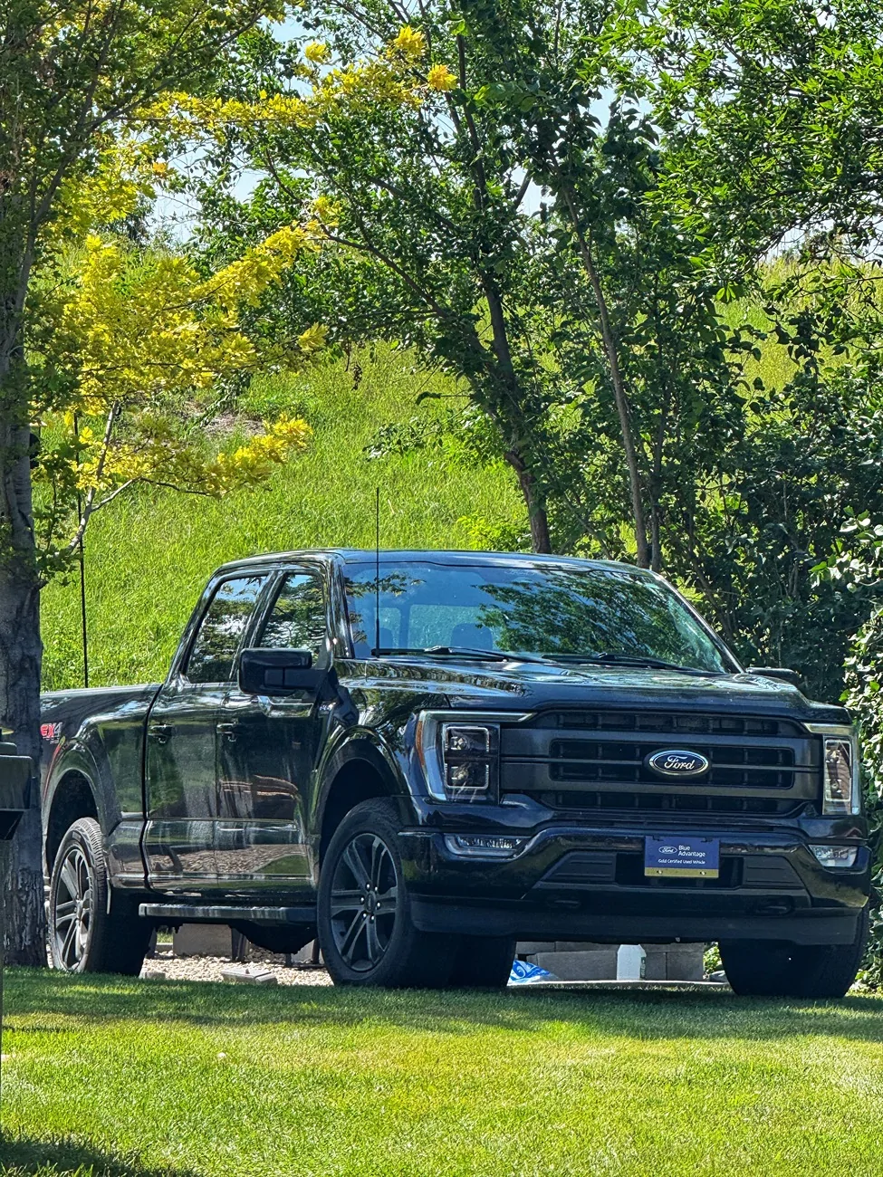 Ford F-150 SpaceMan’s Slow Build IMG_9534