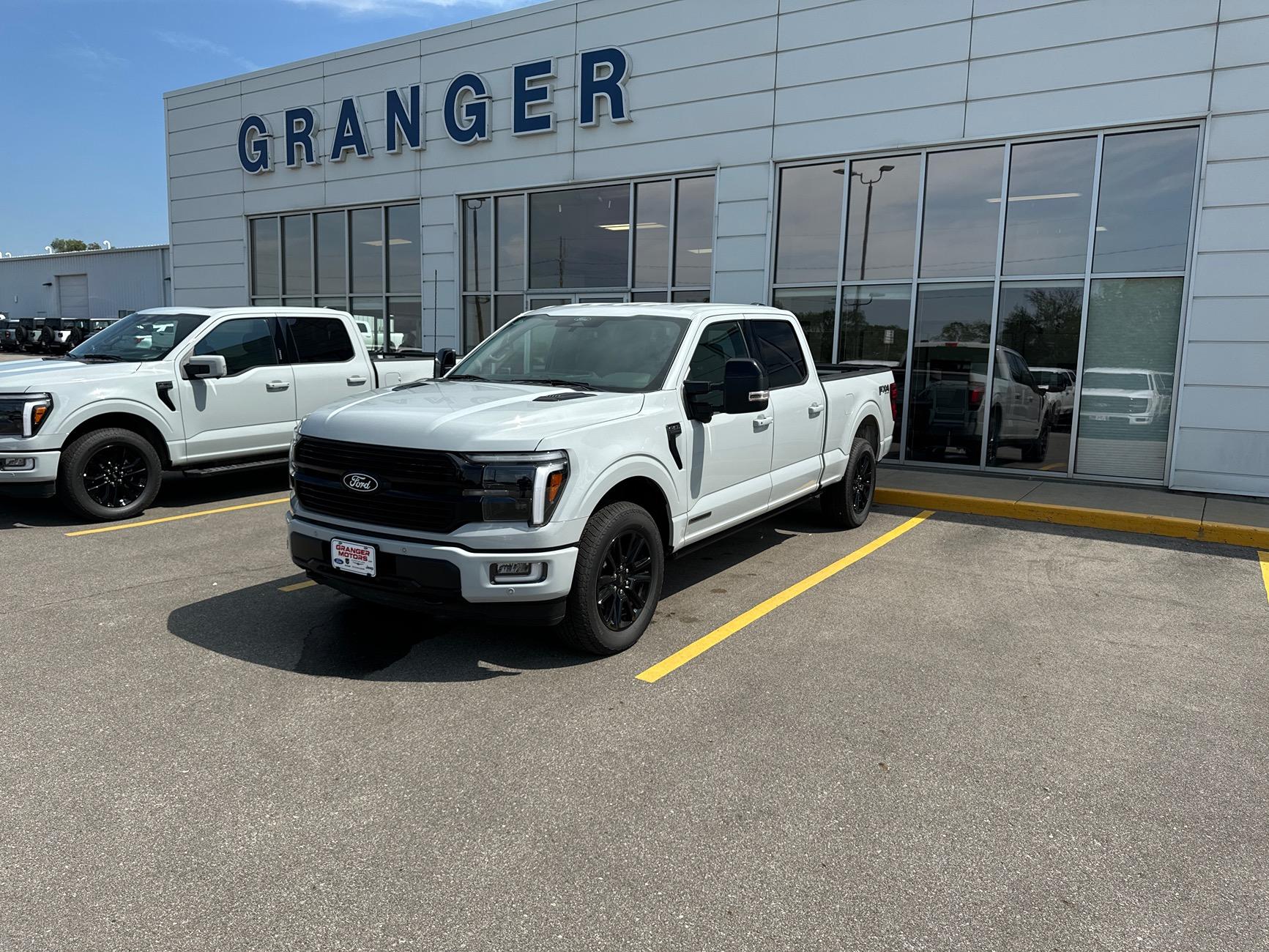 Ford F-150 2024 F-150 Platinum Long Box - Avalanche Gray IMG_9544