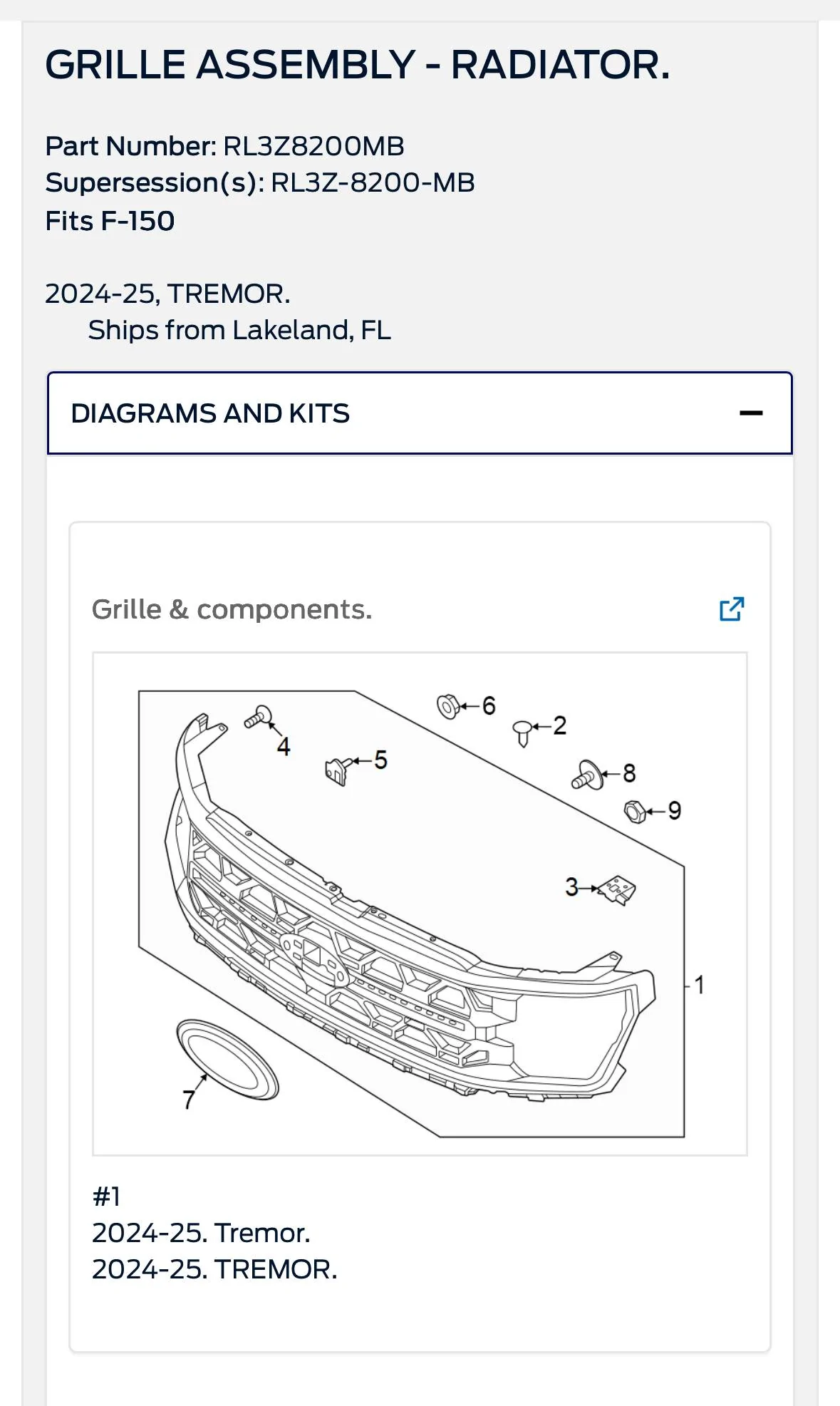 Ford F-150 2024-2025 Tremor grille IMG_9559