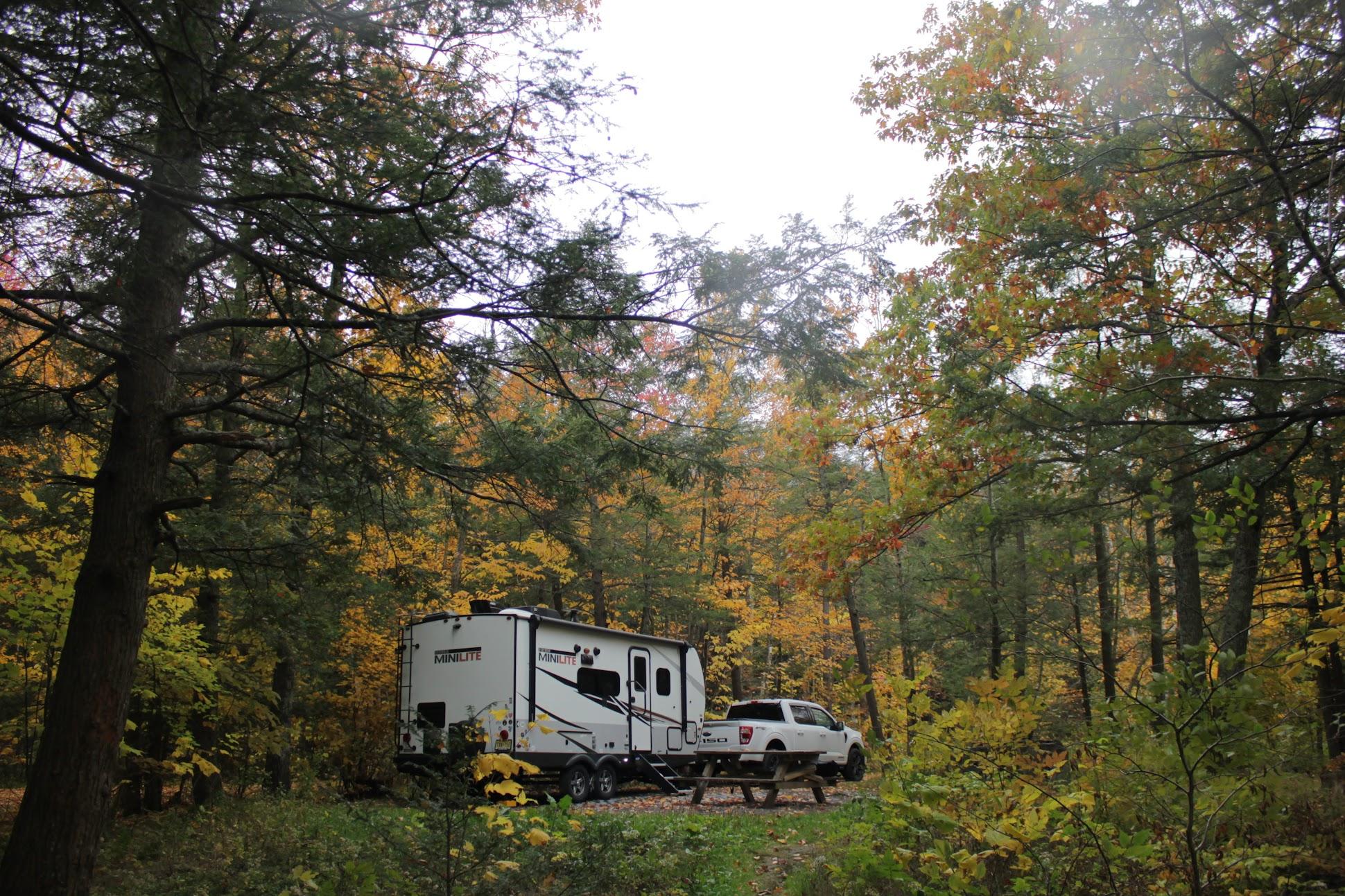 Ford F-150 Fall 2022 Truck Pics - Post Em! IMG_9599.JPG