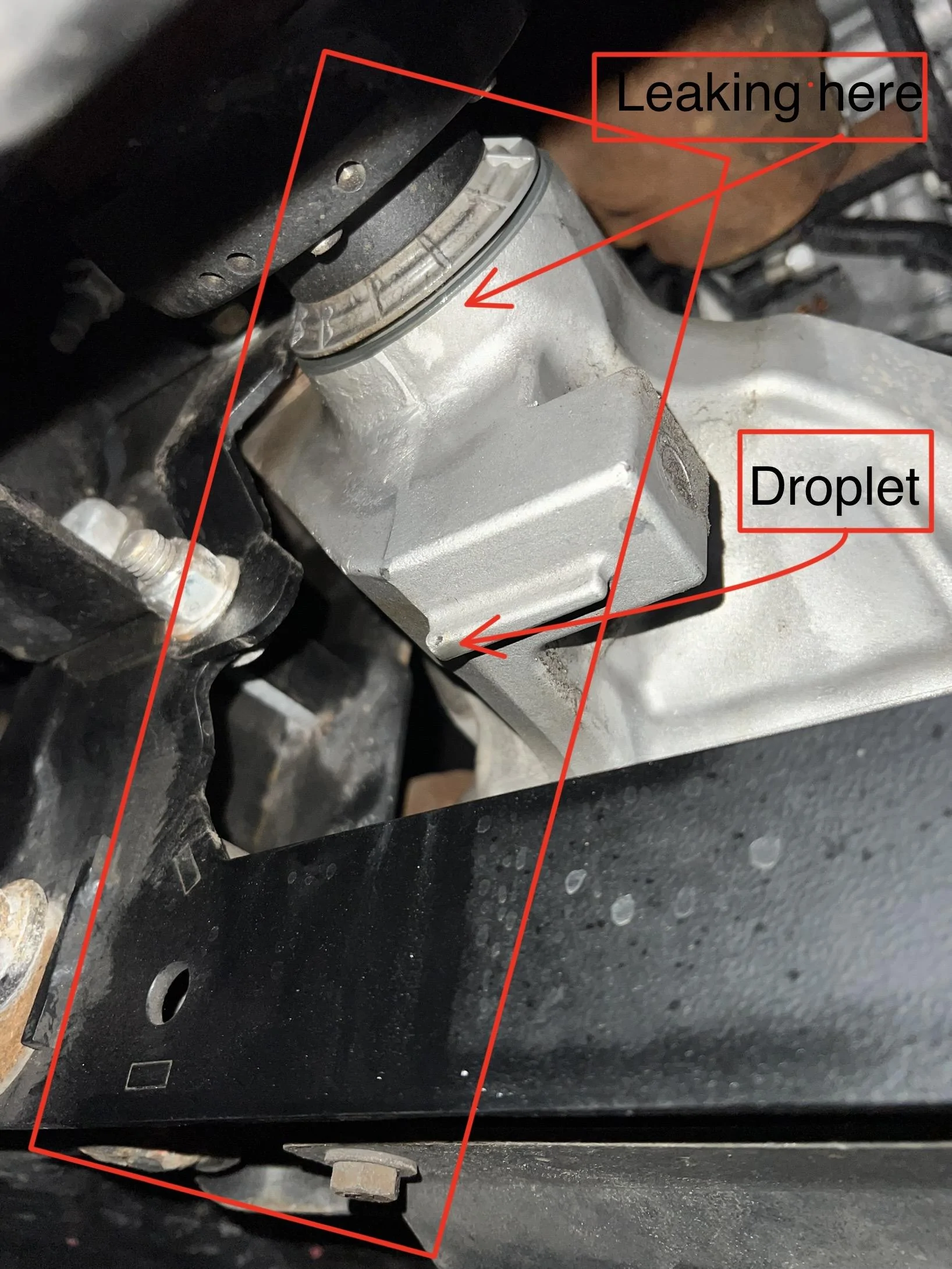 Ford F-150 23K Miles - Differential Leaking 2021 F150 IMG_9720