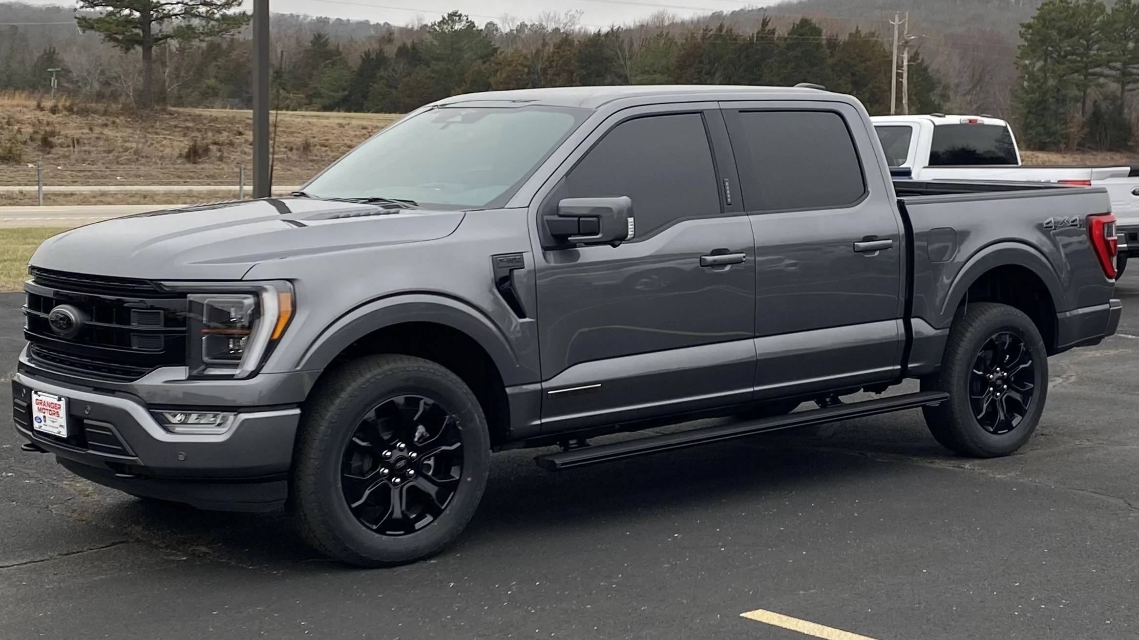 Ford F-150 CARBONIZED GRAY F-150 (2021+) Club IMG_9852