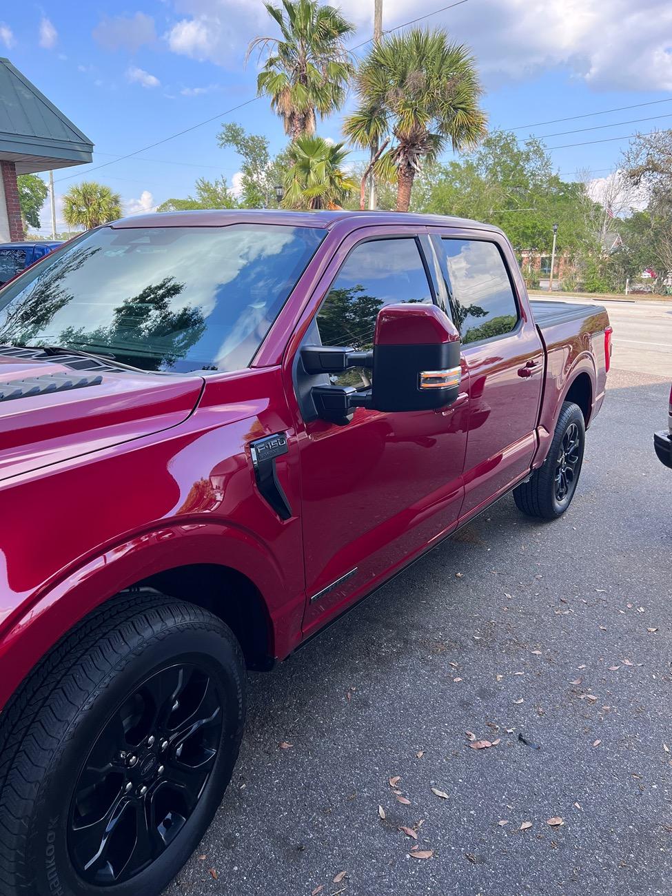 Ford F-150 Upgraded tow mirrors: yes or no? IMG_9880