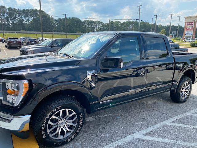jay f150.jpg