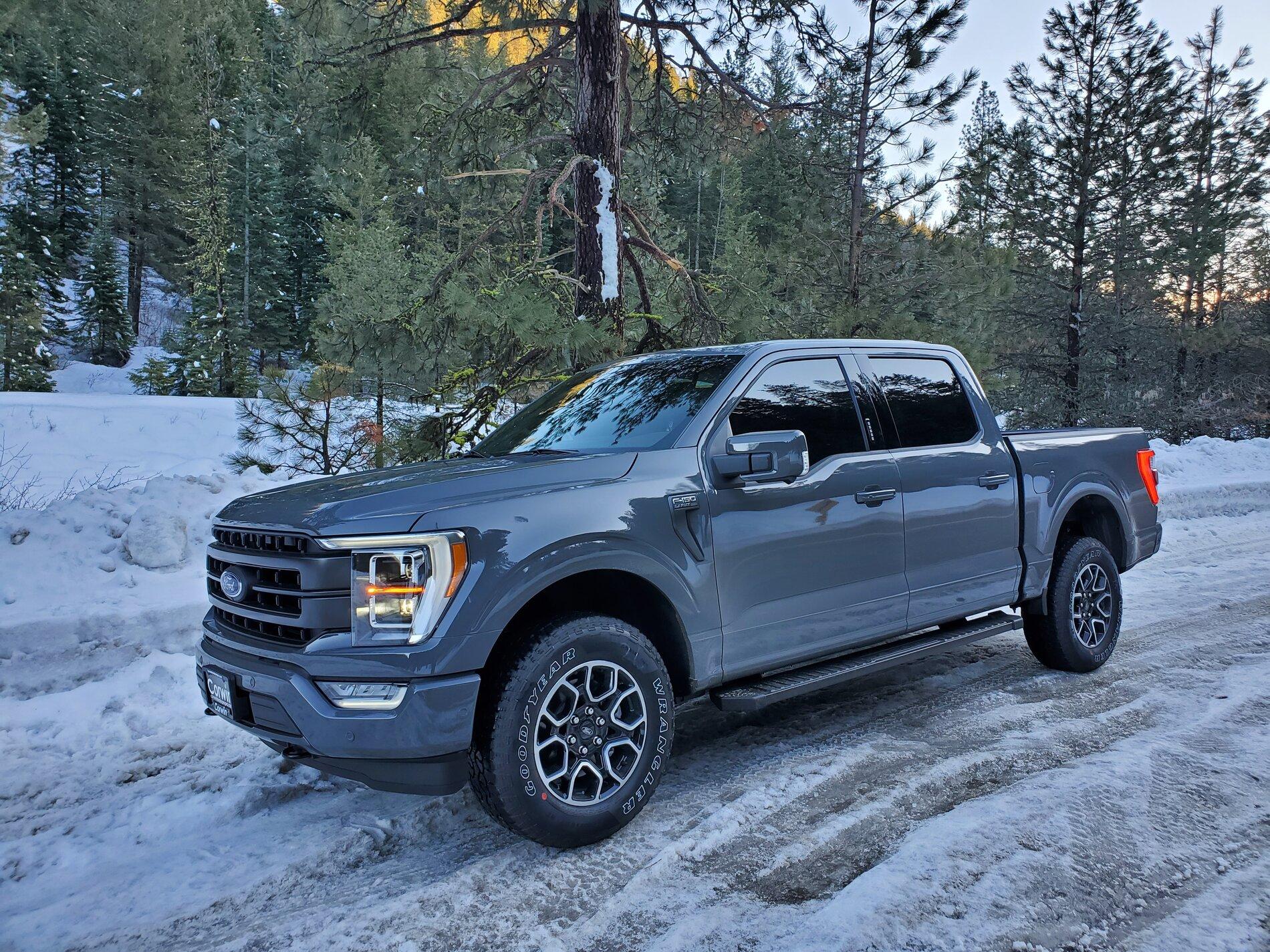 Ford F-150 TInt help! Leadscrew shade