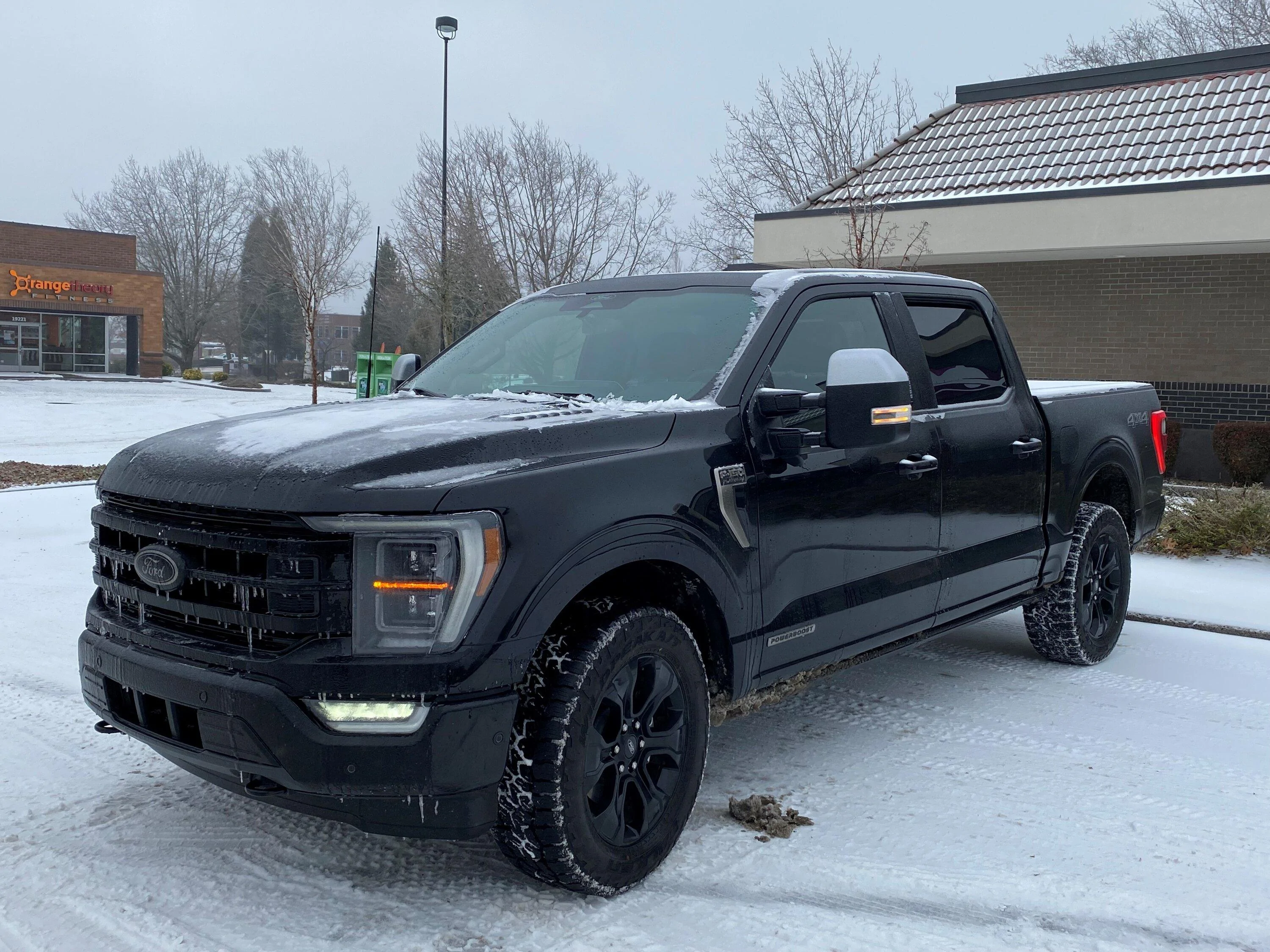 Ford F-150 Black Appearance Package, Black Platinum F-150 Left