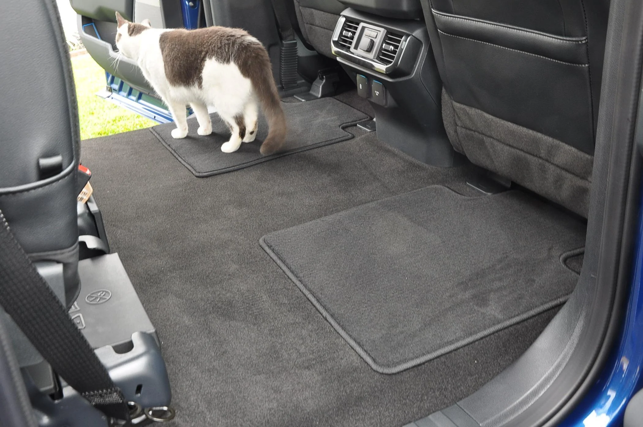 Ford F-150 The Scarlet Scorcher Mat1