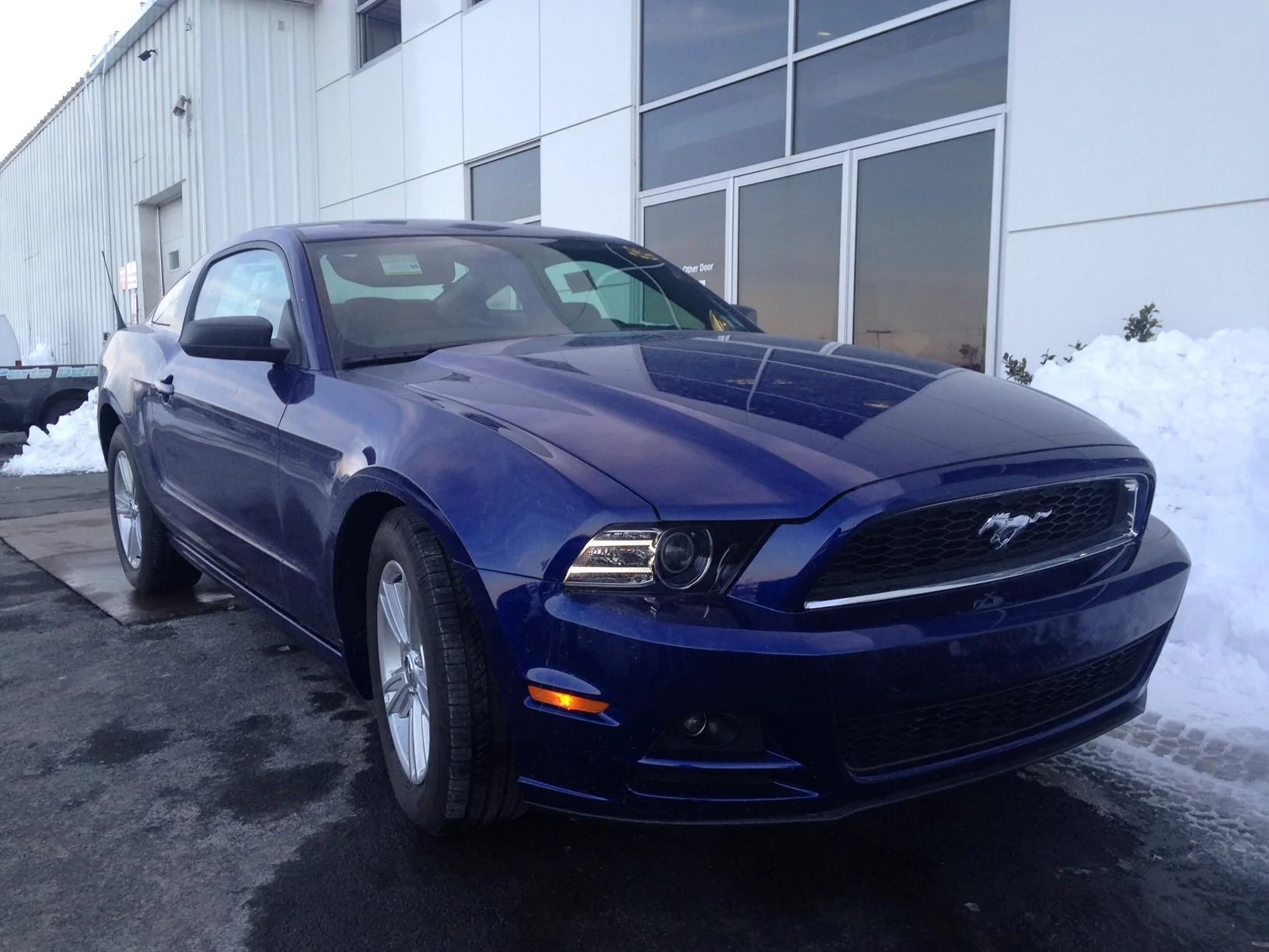 Ford F-150 What Past Ford Paint Color Would You Like to See Come Back? msutang