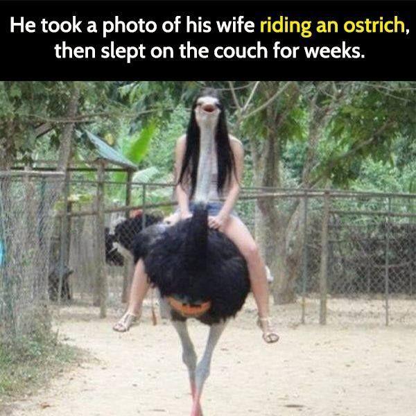Ford F-150 A Joke & Memes thread ostrich
