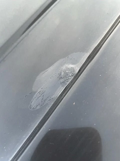 Ford F-150 Just Put my Order in. paint bubbl