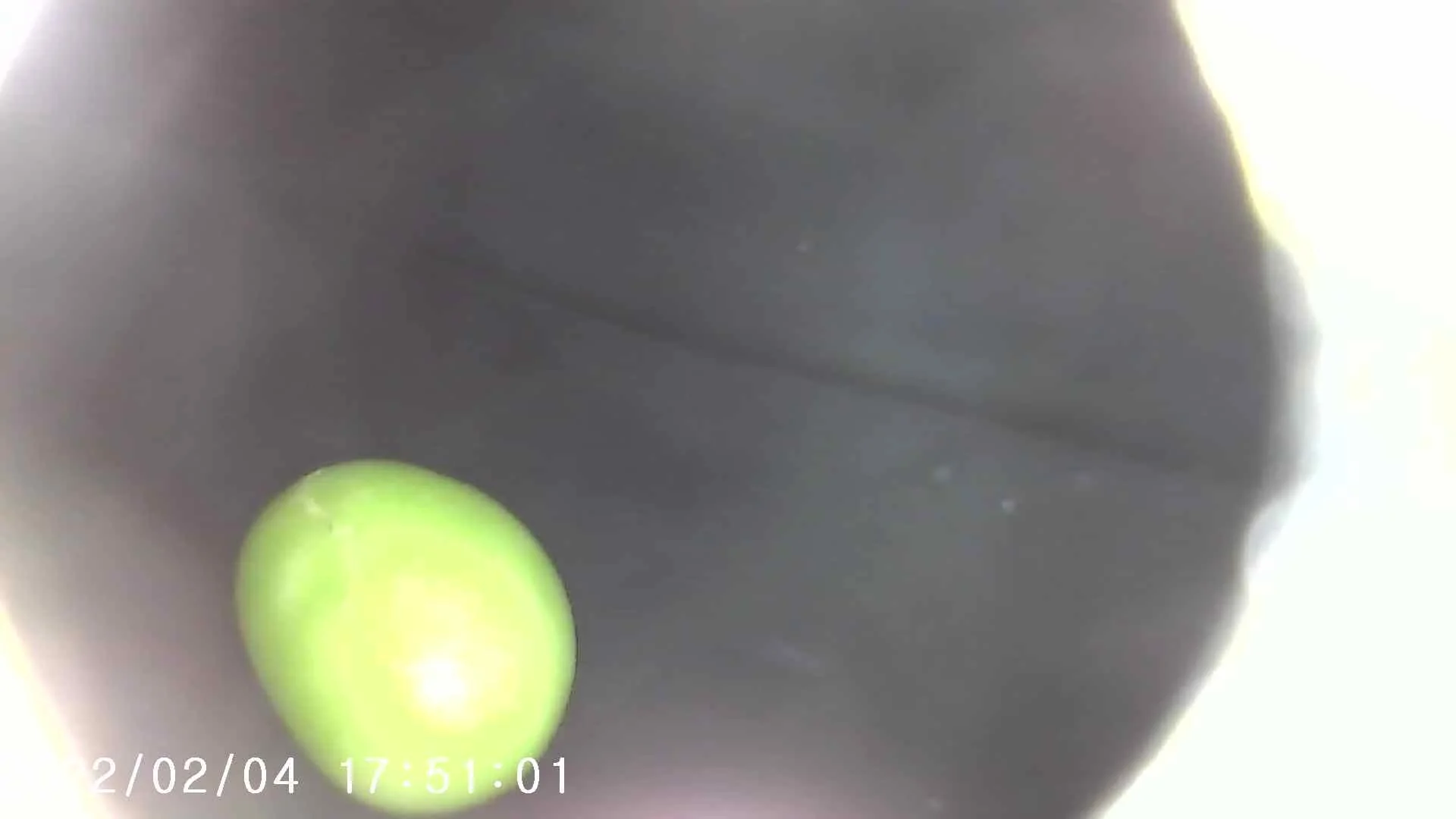 Ford F-150 How to stop jelly beans from getting in this vent? PHO00008