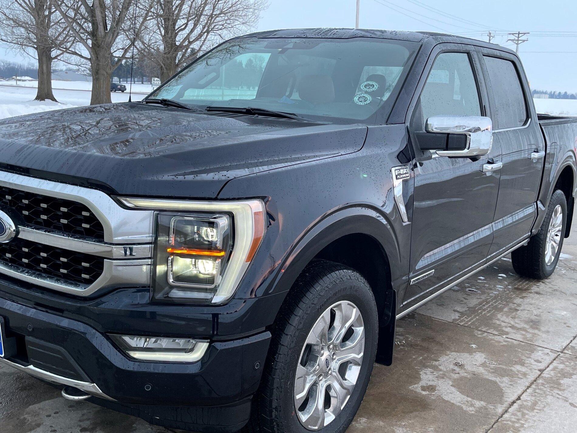 Ford F-150 ANTIMATTER BLUE F-150 (2021+) Club PIC1