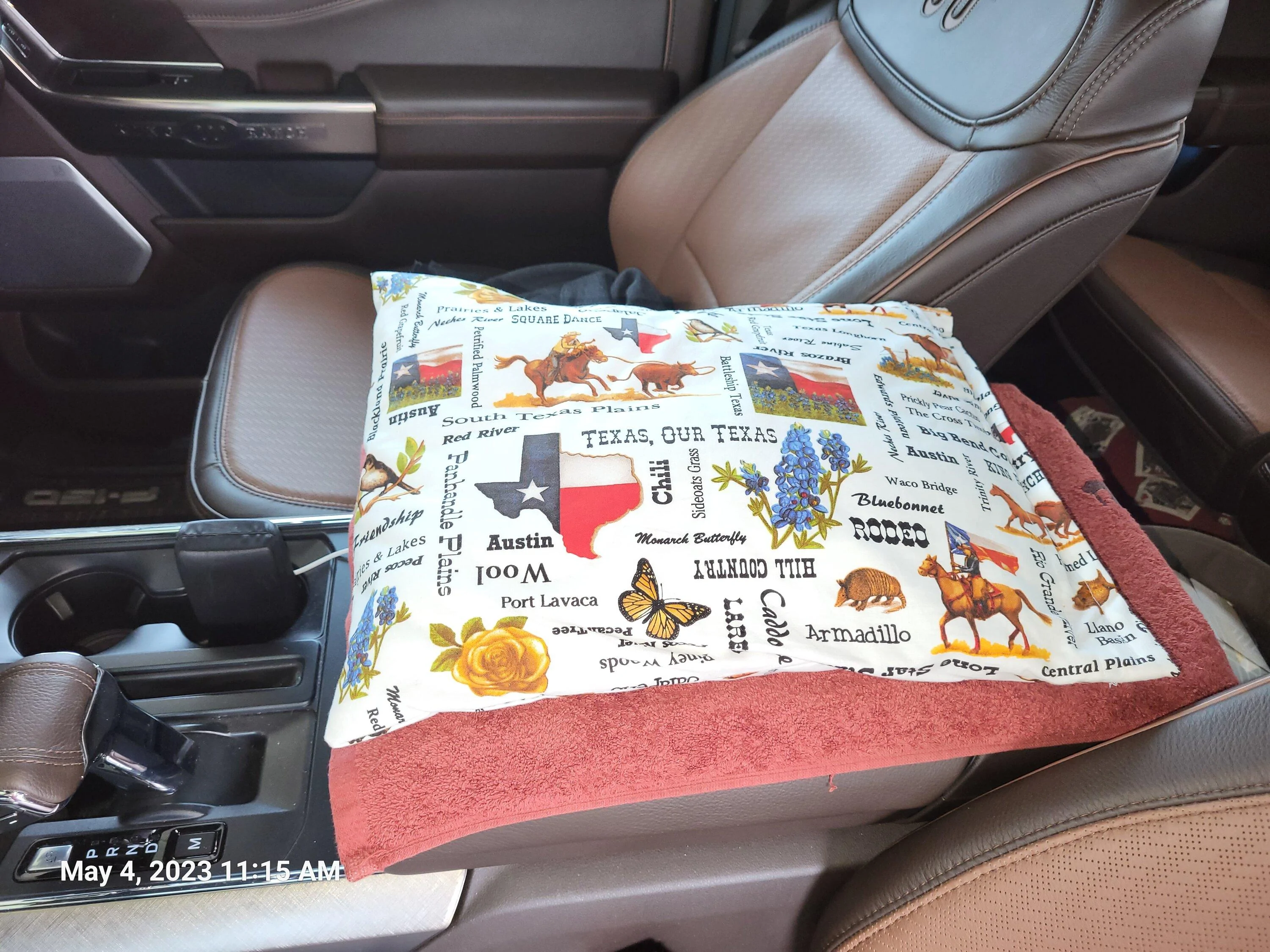 Ford F-150 Got Leather? -- Custom For King Ranch pillo