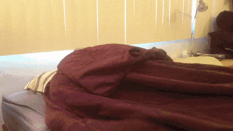 Ford F-150 Reliability study shows EcoBoost 3.5L V6 on top PopCornTime