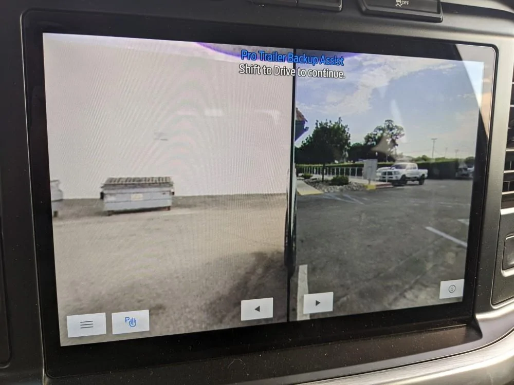 Ford F-150 Driver's Rear Blind Spot / Grab Handle Delete PXL_20220729_003908649