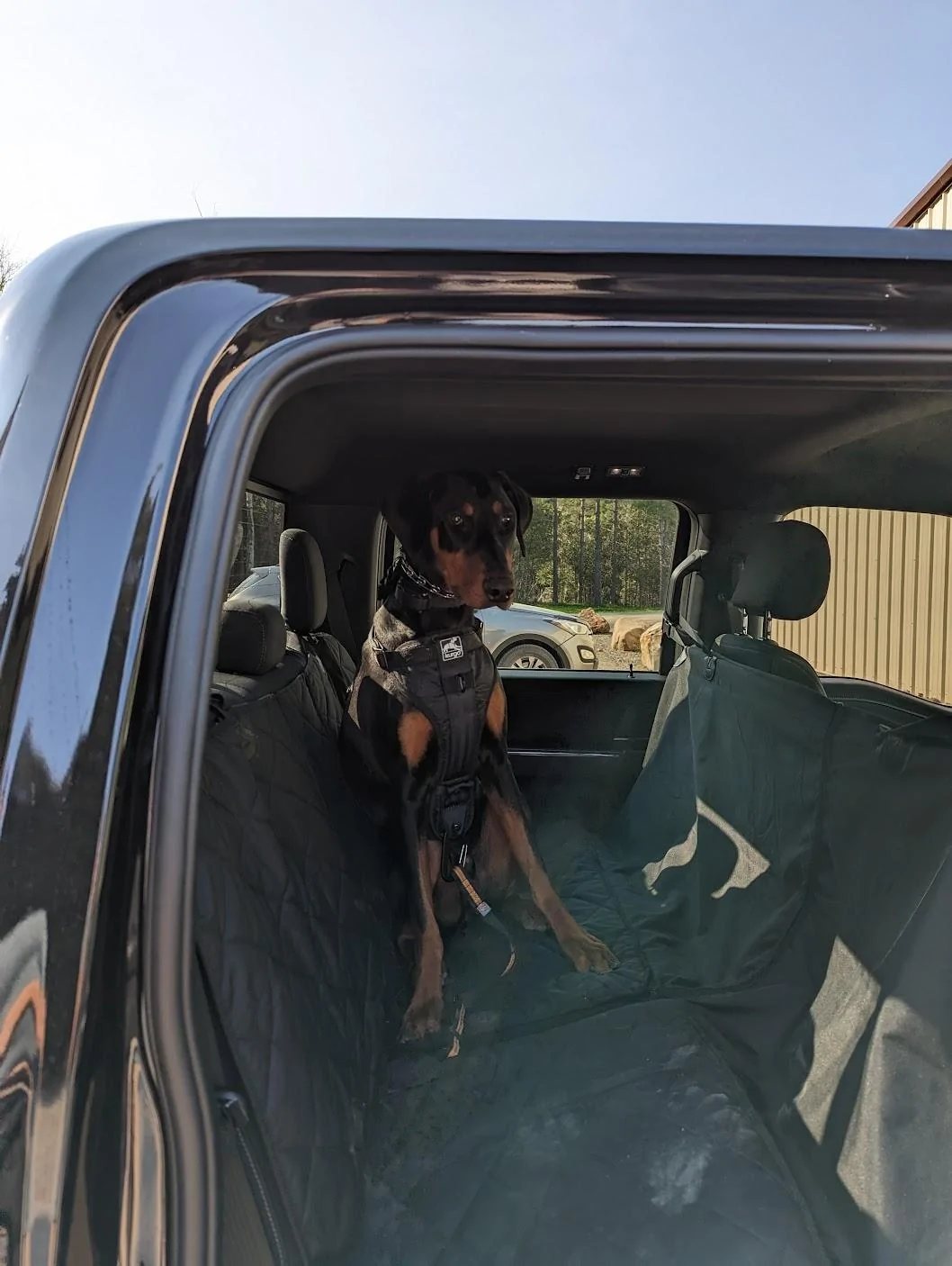 Ford F-150 Pup and the "new" truck... PXL_20230517_212722077